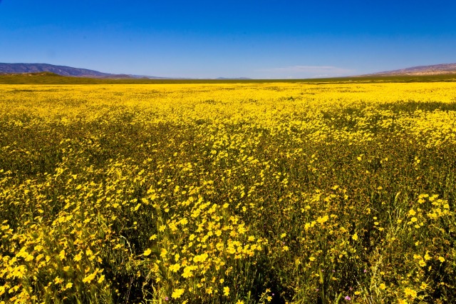 Carrizo Plain in San Luis Obispo County, by Eric Gerfen